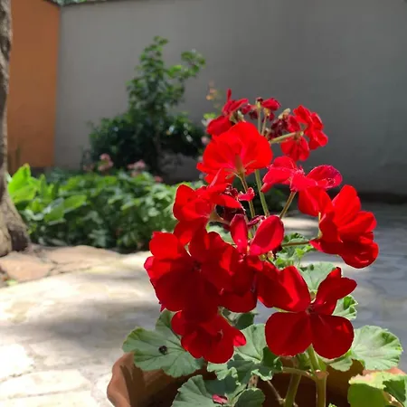 Апартамент Cozy Townhouse In The Heart Of